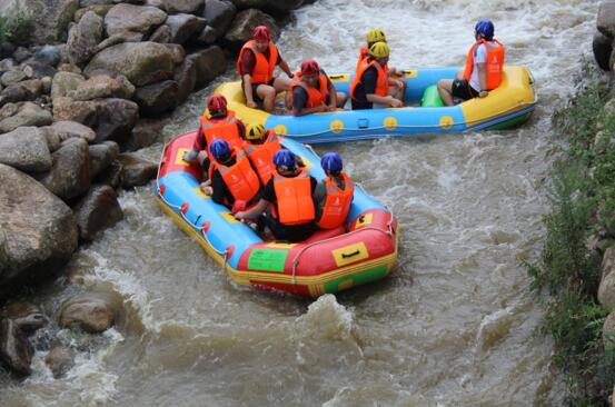 1563783852758582.jpg 3.jpg